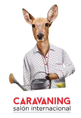 Ciervo Sticker