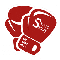 Sws GIF by SwissSalary Ltd.