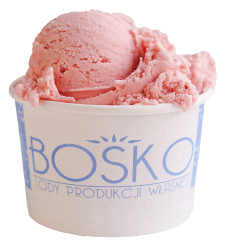 Lody BOSKO Sticker