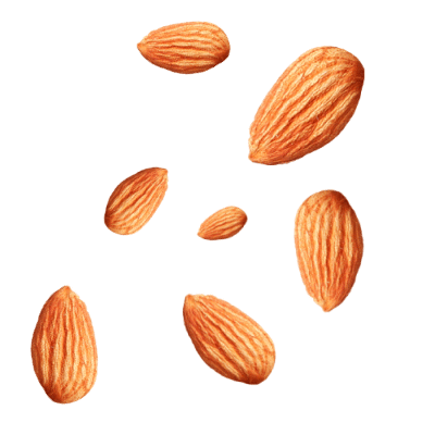 Vegan Sticker by Kite Hill