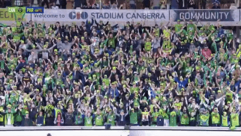 Rugby League Raiders GIF by NRL - Find & Share on GIPHY