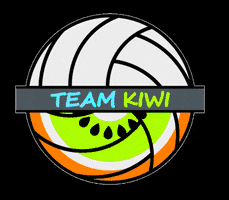Teamkiwi GIF by TEAM Kiwi Volleyball