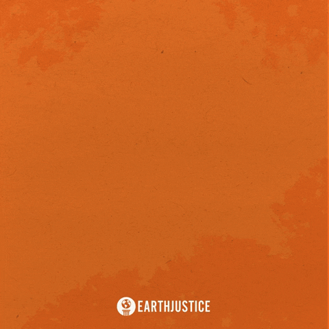Agriculture Pollution GIF by Earthjustice