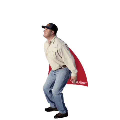 Fly Hero Sticker by Wish Farms