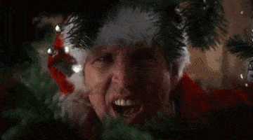 Christmas Vacation GIFs  Find & Share on GIPHY