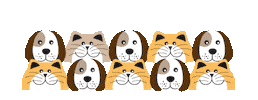 Animals Sticker