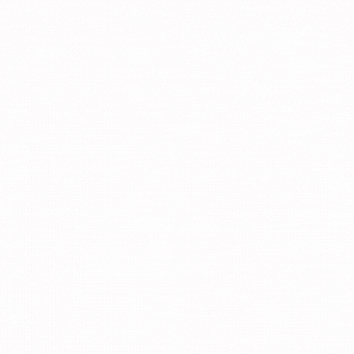 Twiniversity GIF