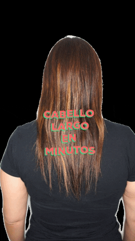 estudiokmexico GIF