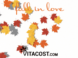Fall In Love GIF by Vitacost