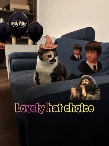 Lovely Hat Choice GIF