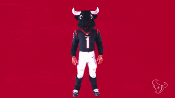 Mascot Salute GIF by Houston Texans