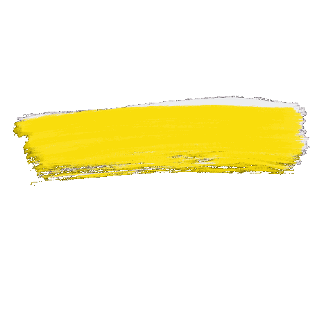 Truecolorsnyc Nyc Rainbow Color Colorfull Sticker