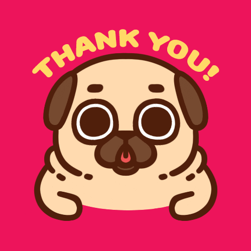 Dogs Thank You GIF by Puglie Pug Find & Share on GIPHY