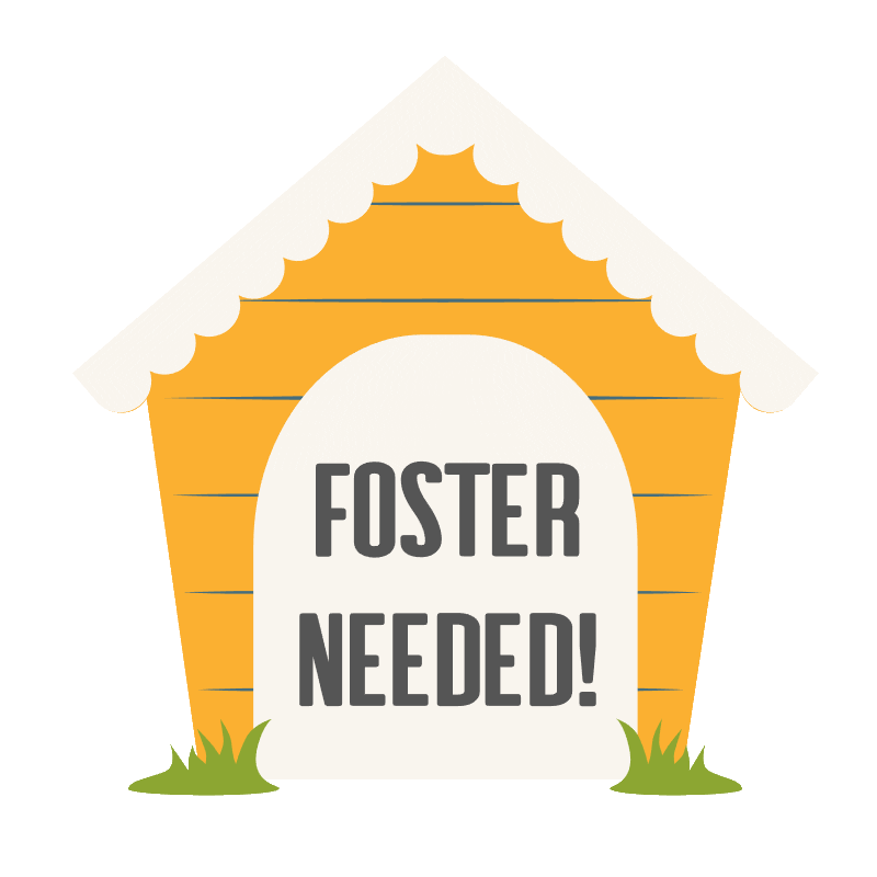 Angel City Pit Bulls Sticker