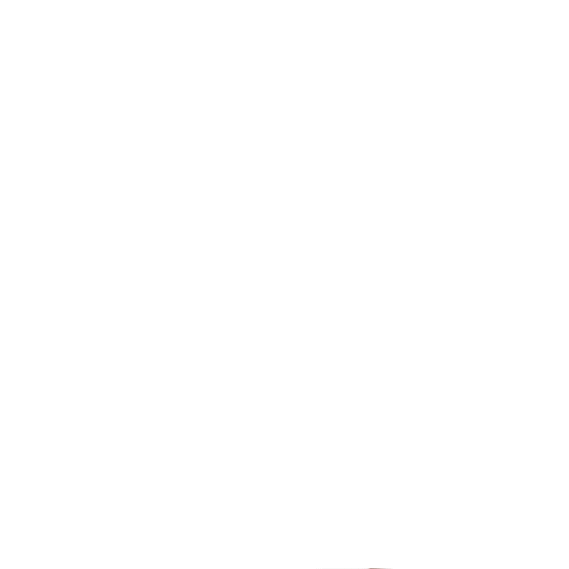 NOC Sticker