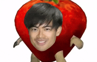 Football Brighton GIF