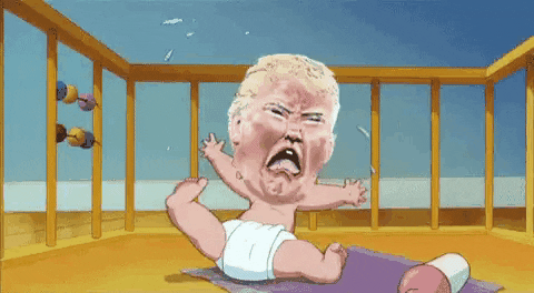 Donald-trump-baby GIFs - Get the best GIF on GIPHY