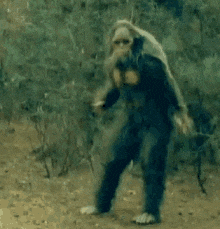 Bigfoot GIFs - Get the best GIF on GIPHY