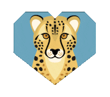 Big Cats Cheetah Sticker by Pantheracats
