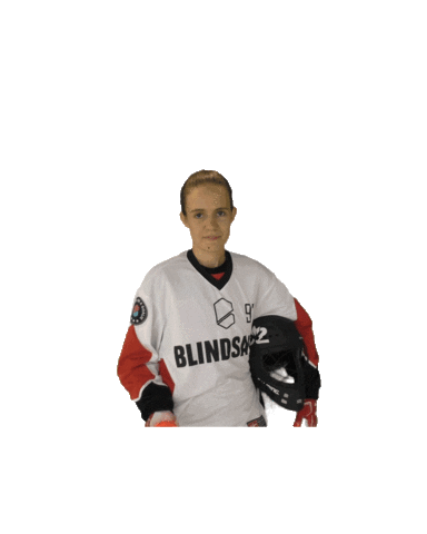 UHC Visper Lions Sticker