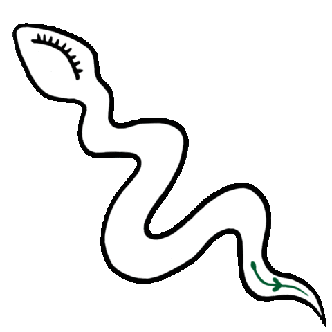 Plant Sticker