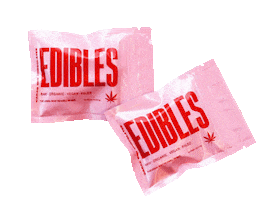 Ball So Hard Chill Sticker by Go Basic