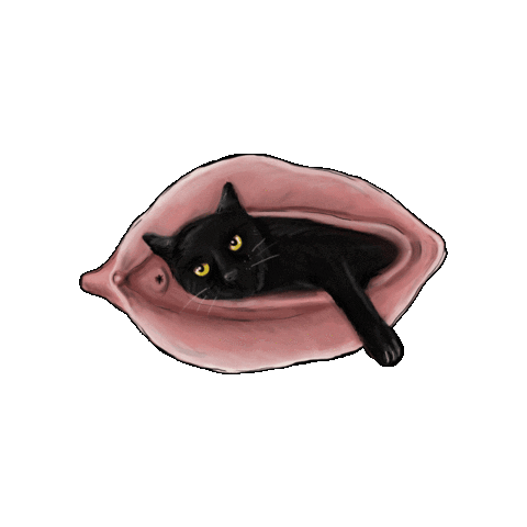 Cat Kitten Sticker