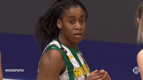 Im A Wildcat GIFs - Get the best GIF on GIPHY