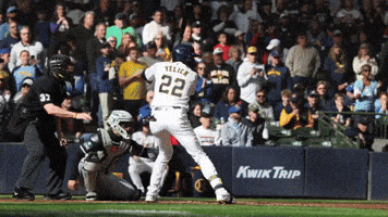 Home Run Baseball GIF by MLB