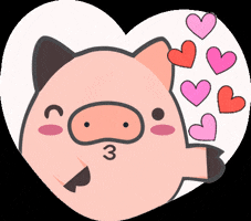 TODO CHANCHO GIF