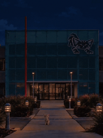 Sndk GIF