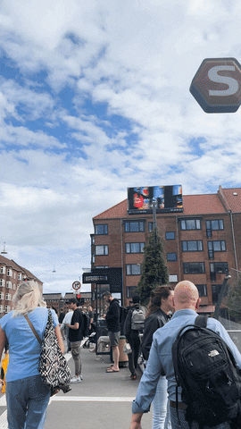 Great Danes City GIF