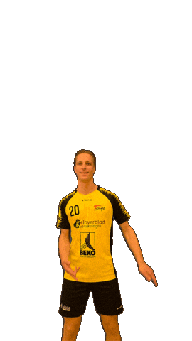 Korfbal Sticker by Korfbalvereniging Tempo