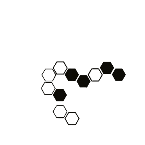 Anaeraquel Sticker by Studio Redoma