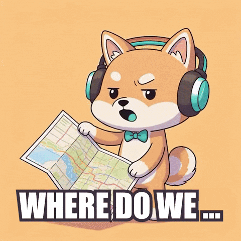 Confused Road Trip GIF by WUFFI
