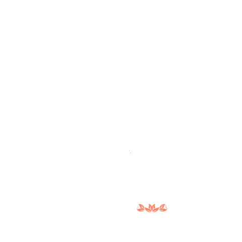 NXT Racing Sticker