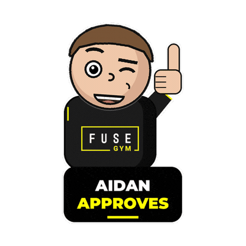 Ireland Aidan Sticker by FUSE Gym