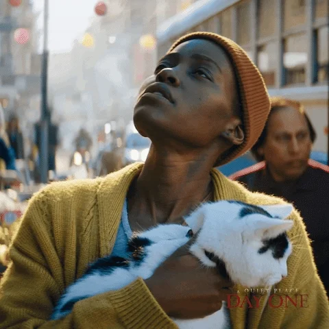 Lupita Nyongo Cat GIF