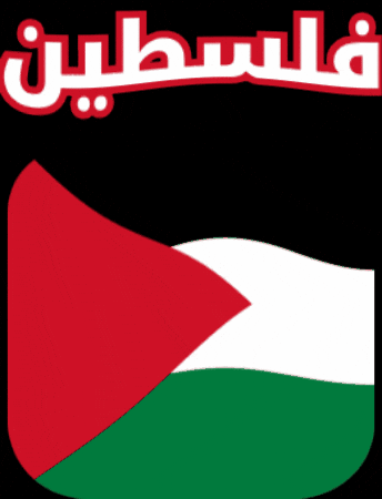 Palestine Flag GIF by Jawal Games