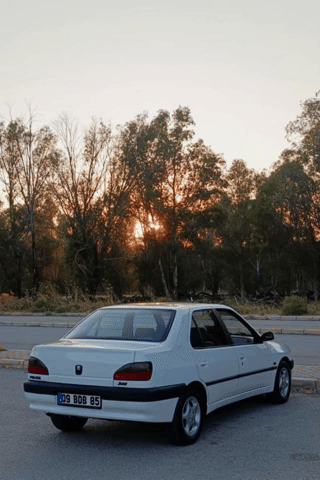 Peugeot GIF