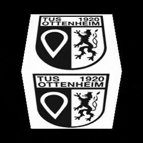 tus_ottenheim 1920 tusottenheim odne odner GIF