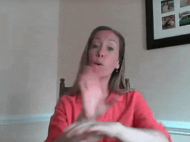 ashleyfrongello asl computer GIF