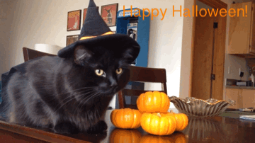 source.gif