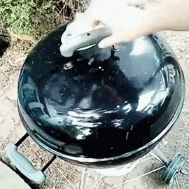 bbq