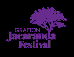 GIF by Grafton Jacaranda Festival