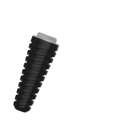 Signo Vinces Sticker