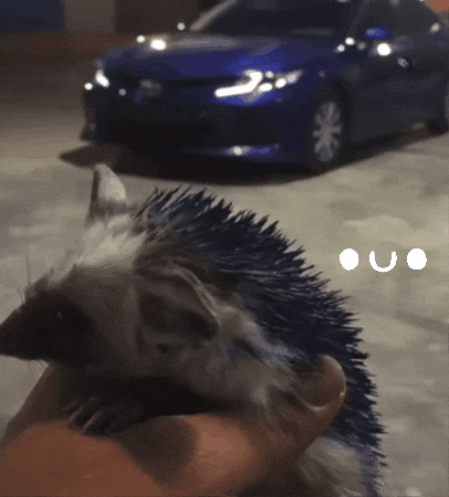 Camry GIF