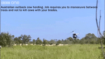 helicopters following GIF
