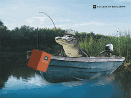 Boat Alligator GIF by University of Florida College of Education