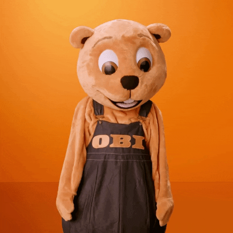 Ups Beaver GIF by OBI Baumarkt